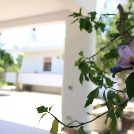 Villeriunite - Dalia Ferienhaus *